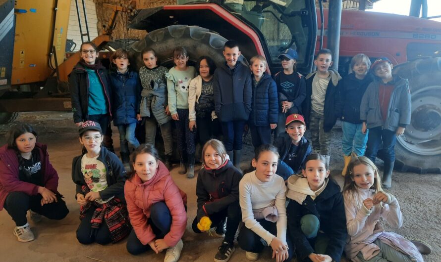 Matinée à la ferme 🐄🐑🌾