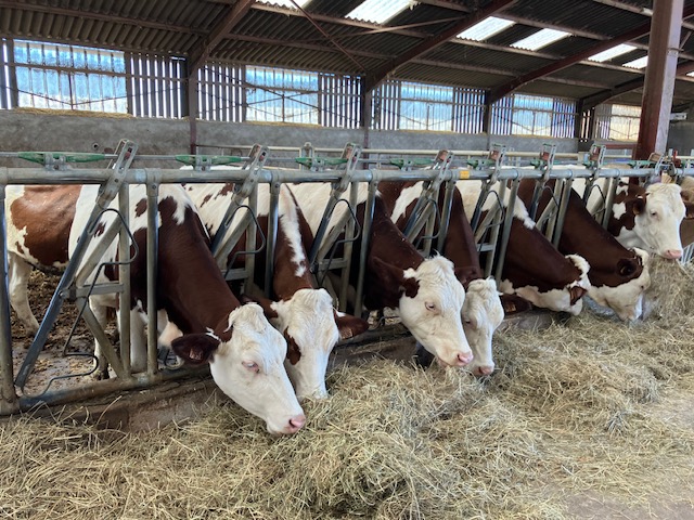 Remerciements pour la visite de la ferme