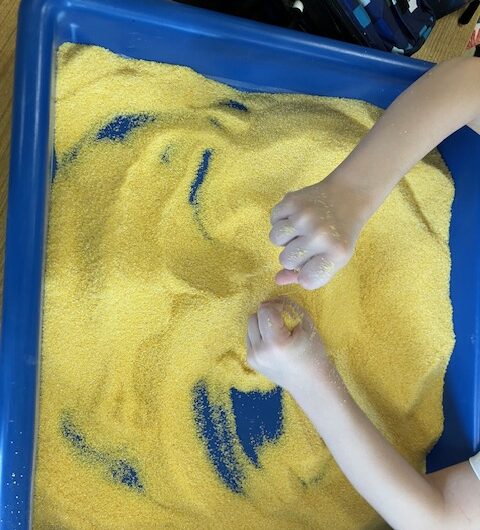 Nos apprentissages